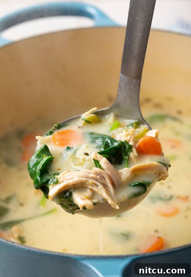 Close-up of creamy lemon chicken soup in a bowl, showing the rich texture and ingredients.