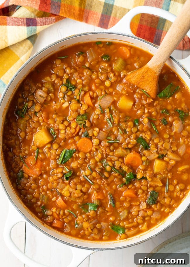 Rustic Tuscan Lentil Soup 2 Hearty Tuscan Lentil Soup, a healthy and satisfying vegetarian meal, perfect for any season.