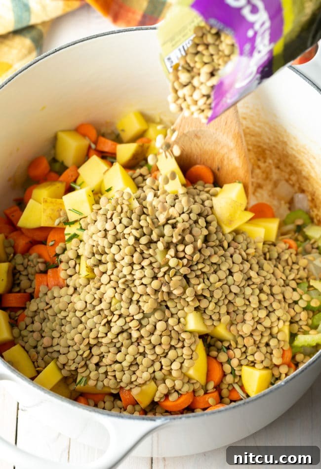 Rustic Tuscan Lentil Soup 6 Adding lentils to a simmering pot, preparing a delicious and healthy Tuscan Lentil Soup.