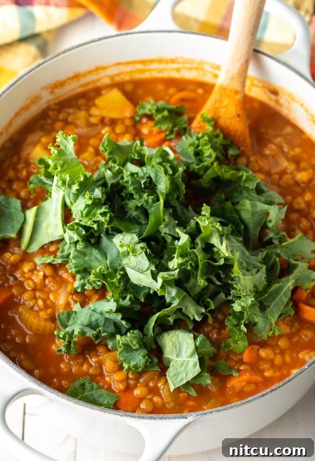 Rustic Tuscan Lentil Soup 8 Adding fresh kale to the Tuscan Lentil Soup, a final touch for a healthy and flavorful dish.