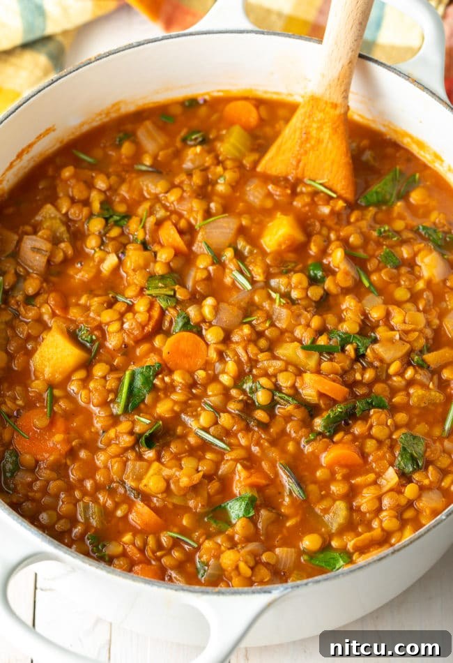 Rustic Tuscan Lentil Soup 9 A bowl of hot Vegan Lentil Soup, a delicious and healthy plant-based meal that's also gluten-free.