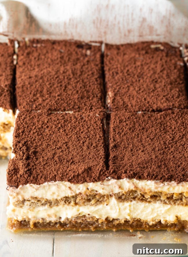 Espresso Pick-Me-Up Delight 15 An inviting, up-close shot of the best tiramisu with visible, perfect layers of cream and coffee-soaked ladyfingers.