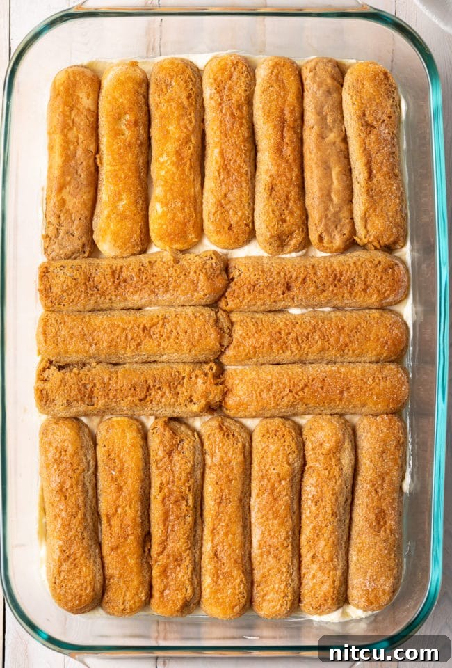 Espresso Pick-Me-Up Delight 9 Ladyfingers, perfectly dipped in coffee and liqueur, arranged in a neat single layer at the bottom of a glass baking dish, forming the base of the tiramisu.