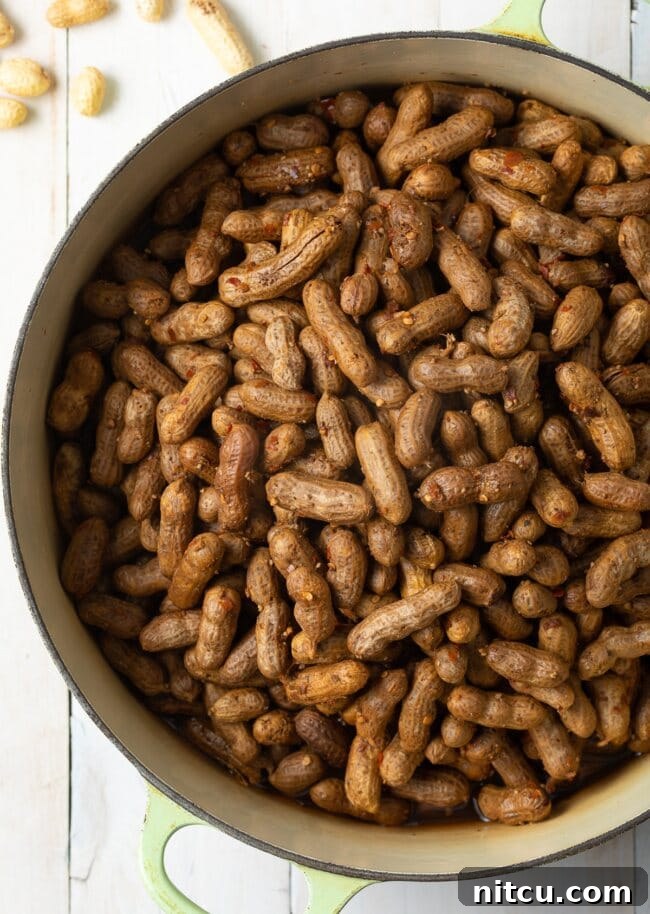 Perfect Boiled Peanuts 2 Dutch oven pot full of boiled, unpeeled peanuts.