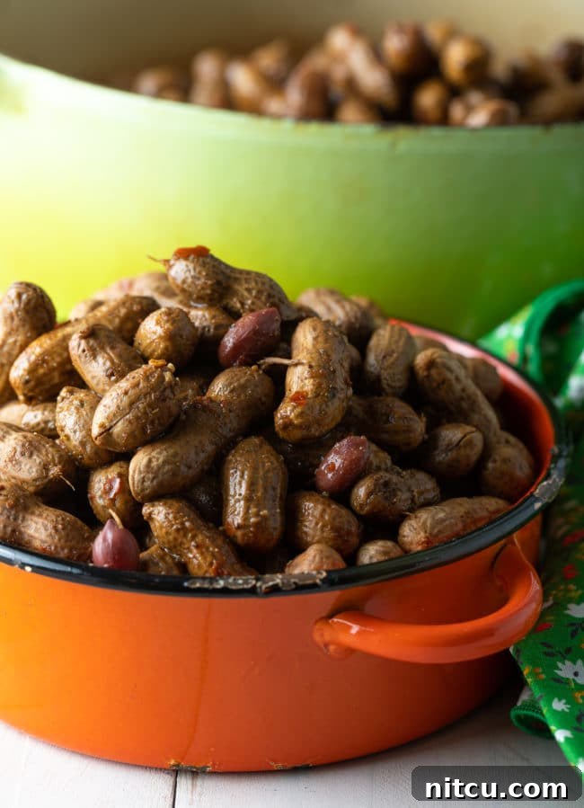 Perfect Boiled Peanuts 4 Orange pot filled to the brim with boiled peanuts.