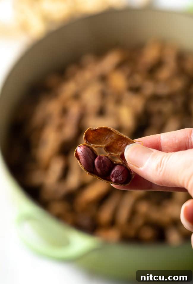 Perfect Boiled Peanuts 6 Hand holding an open shelled peanut with three nuts in it with a pot of more peanuts in the background.