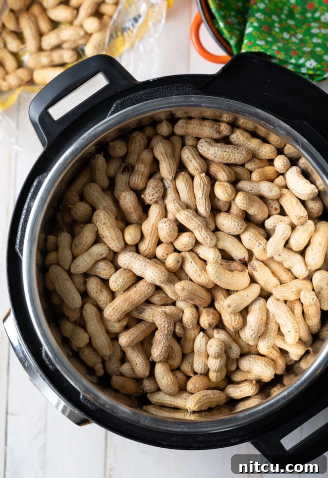 Perfect Boiled Peanuts 7 img 85295 6