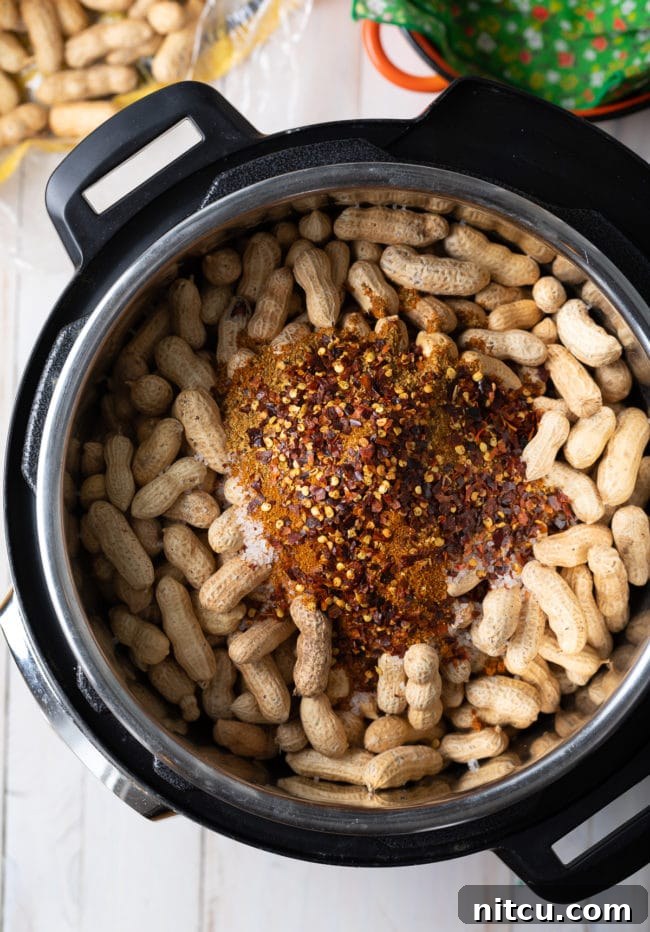 Perfect Boiled Peanuts 9 Peanuts in an Instant pot with spices piled on top.