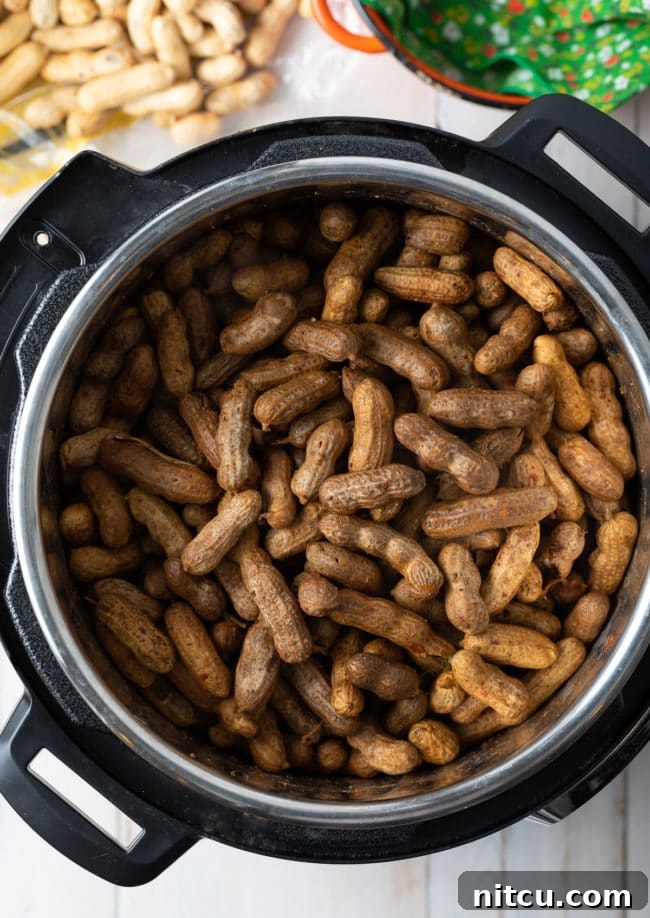 Perfect Boiled Peanuts 10 Perfect Boiled Peanuts Recipe (3 Ways!)