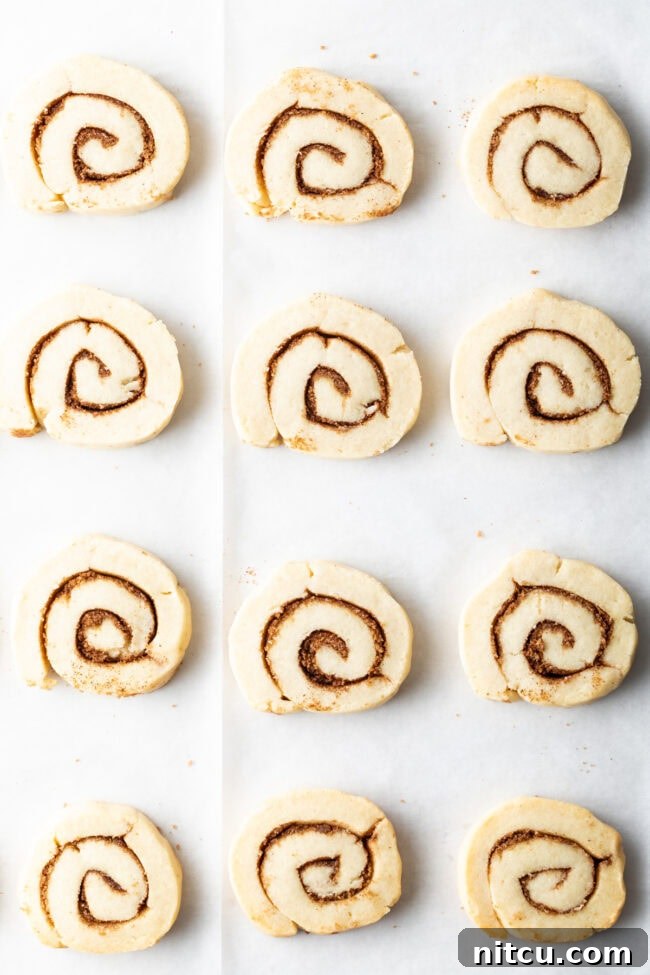 Cinnamon Swirl Cookies 4 Cinnamon roll cookie dough log being sliced into individual cookies