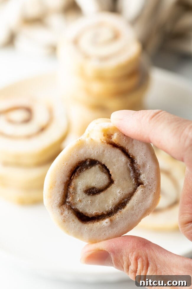 Cinnamon Swirl Cookies 5 A plate of cinnamon swirl cookies with a cup of coffee