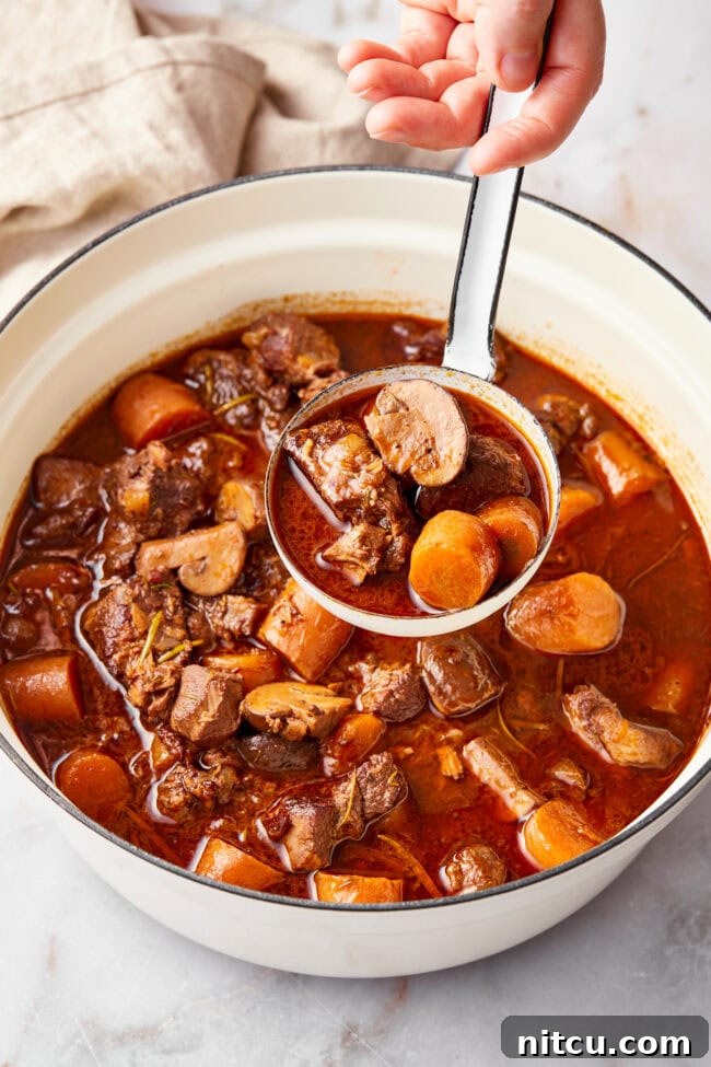 bourguignon-recipe.jpg Big pot of venison bourguignon on a table with ladle.