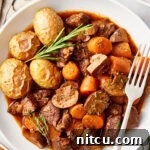 Venison Bourguignon in a white bowl.