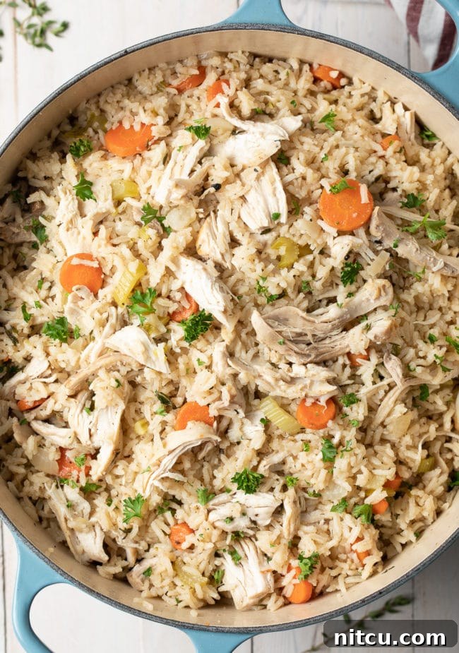 Nana's Masterpiece Chicken and Rice 2 Chicken and rice in a large Dutch oven pot, simmering to perfection.
