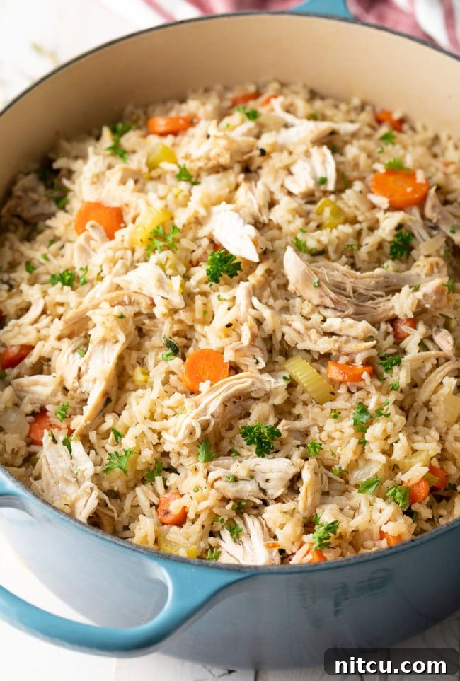 Nana's Masterpiece Chicken and Rice 11 A close-up view of perfectly cooked chicken and rice, showcasing its comforting texture.
