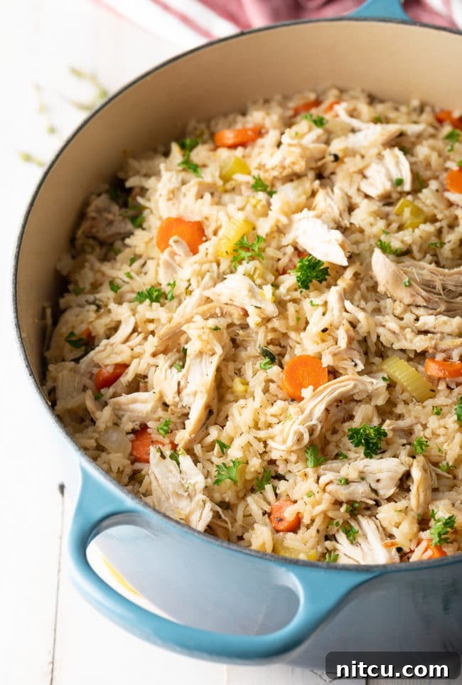 Nana's Masterpiece Chicken and Rice 13 Easy chicken and rice in a dutch oven after being cooked, ready to serve.
