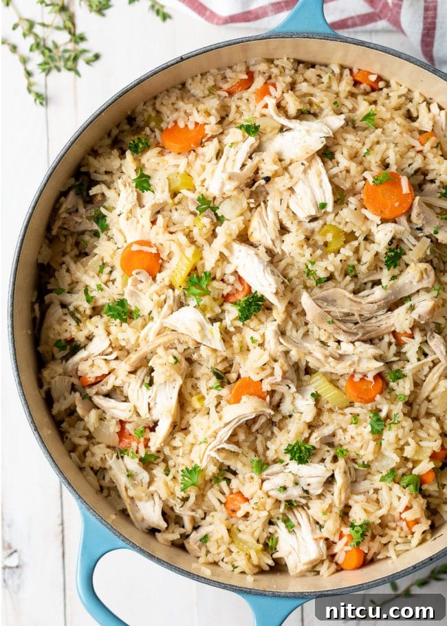 Nana's Masterpiece Chicken and Rice 5 Overhead view of chicken and rice in a pot, beautifully cooked.