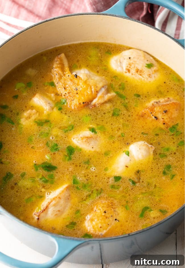 Nana's Masterpiece Chicken and Rice 9 Sauteed chicken and vegetables covered in broth, simmering gently in a pot.