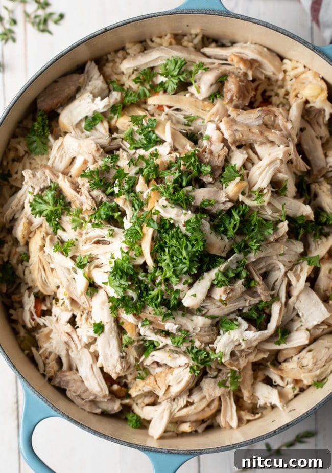 Nana's Masterpiece Chicken and Rice 10 Instant Pot Chicken and Rice (or Stovetop Recipe) – a hearty, southern-inspired dish.