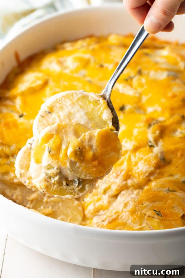 Golden Baked Creamy Potato Delight 2 Cheesy Scalloped Potatoes au Gratin in a baking dish with spoon
