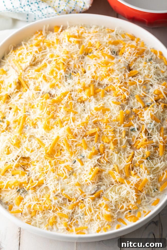 Golden Baked Creamy Potato Delight 11 Cheesy Potatoes au Gratin Recipe #ASpicyPerspective #potatoes #scalloped #gratin #cheese #baked #comfortfood #potato #best #holiday
