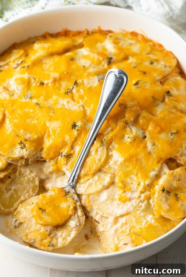 Golden Baked Creamy Potato Delight 12 Best Recipes for Cheesy Scalloped Potatoes overhead with soft thin potato slices in dish