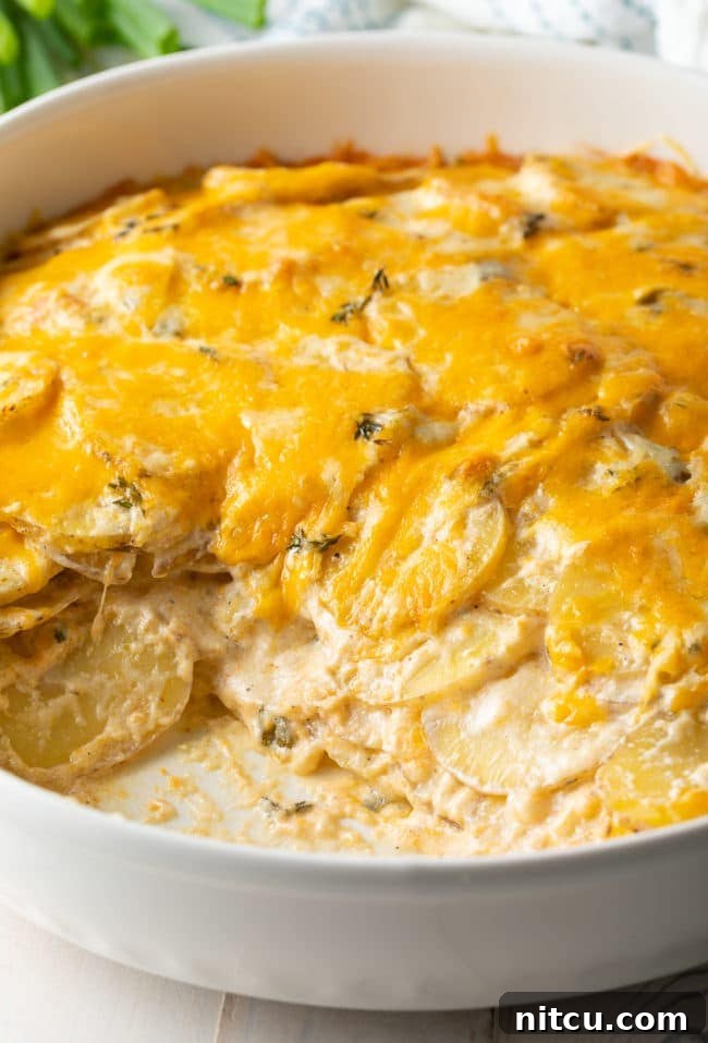 Golden Baked Creamy Potato Delight 13 Potatoes au Gratin Recipe close up in dish