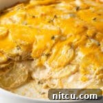 Golden Baked Creamy Potato Delight 14 Best Scalloped Potatoes (au Gratin) Recipe