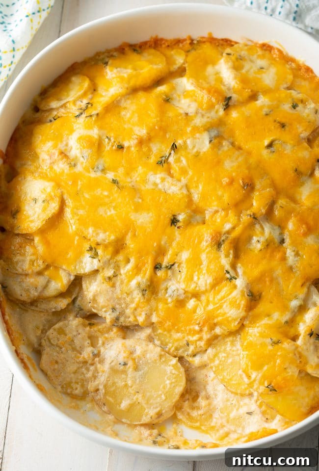 Golden Baked Creamy Potato Delight 5 Best Scalloped Potatoes Recipe overhead shot with thinly sliced potatoes