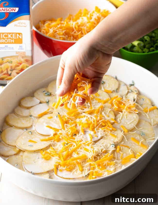 Golden Baked Creamy Potato Delight 9 Cheesy SCheesy Gratin Dauphinois Recipe #ASpicyPerspective #potatoes #scalloped #gratin #cheese #baked #comfortfood #potato #best #holiday