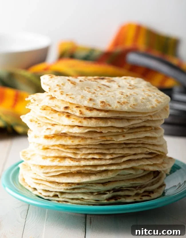 Crafting Perfect Flour Tortillas From Scratch 4 Learn How To Make Flour Tortillas - Homemade Flour Tortillas