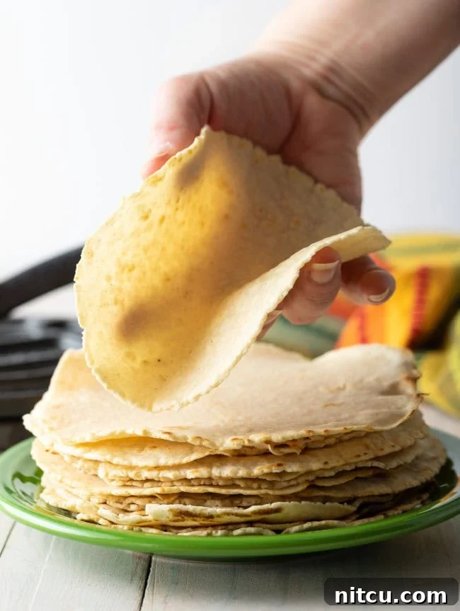 A hand gently holding and slightly folding a freshly made corn tortilla, showcasing its exceptional flexibility and warmth.
