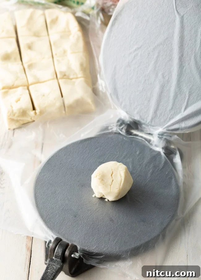 A small, perfectly rolled ball of corn tortilla dough placed between two plastic sheets inside an open tortilla press.