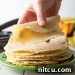 Homemade Corn Tortilla Recipe