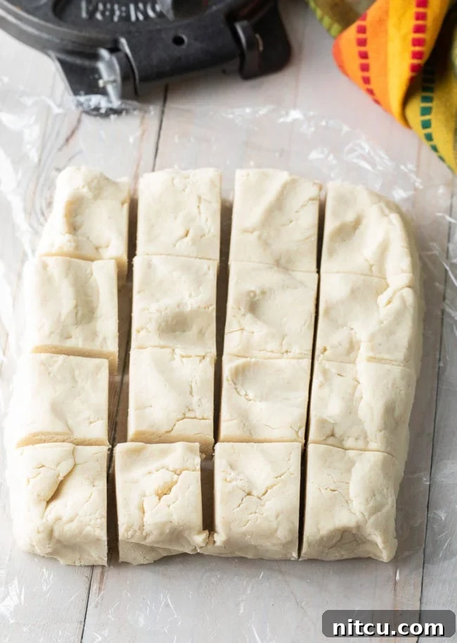 A rested sheet of tortilla dough, carefully divided into uniform squares before being rolled into individual balls.