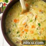 Velvety Chicken and Rice Soup 10 Creamy Parmesan Chicken and Rice Soup, close-up in a bowl.