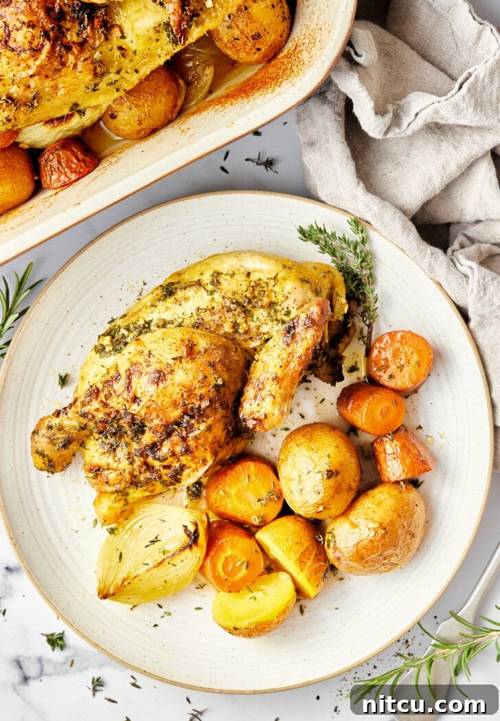 roasted-game-hens.jpg Roasted Game Hens on a bed of veggies, overhead shot.