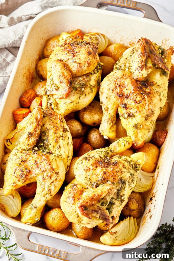 Juicy Cornish Hen Perfection 2 Roasted Game Hens in a roasting pan on a bed of veggies.