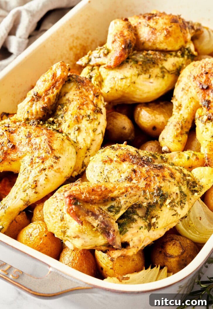 gluten-free-thanksgiving.jpg Cornish hens in a baking dish after baking.