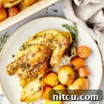 Juicy Cornish Hen Perfection 5 Roasted Game Hens in a roasting pan on a bed of veggies.
