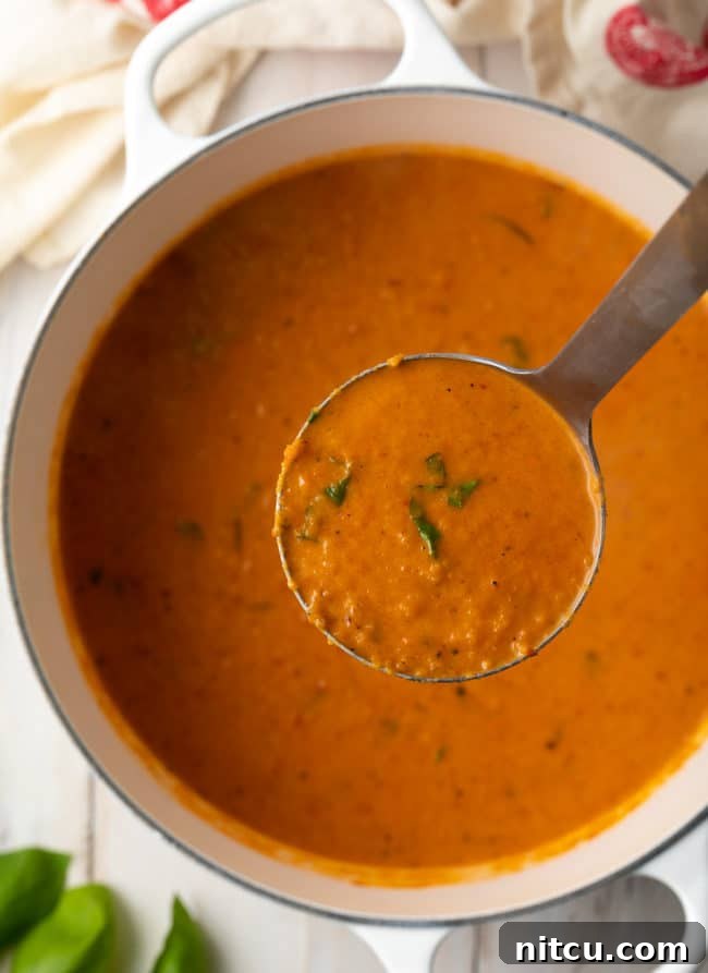 Velvety Roasted Tomato and Basil Soup 10 A ladle filled with creamy roasted tomato soup, held above the pot, showcasing its smooth and inviting texture.