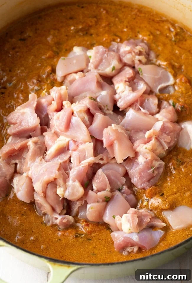 Fiery Madras Chicken 9 Simmer the Chicken Curry