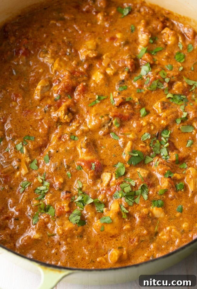 Fiery Madras Chicken 10 Finished Madras Chicken Curry with fresh cilantro.