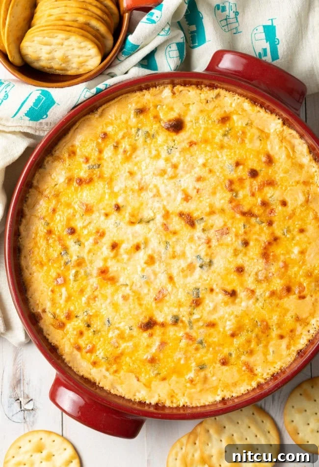 Fiery Cajun Shrimp Dip 11 Cajun Hot Shrimp Dip Recipe