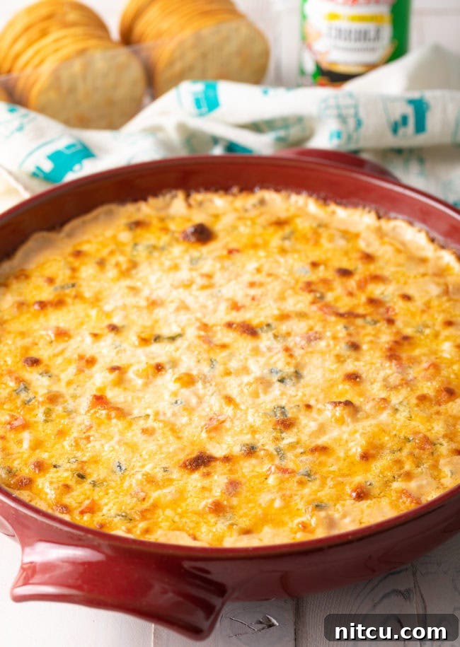 Fiery Cajun Shrimp Dip 10 Easy Shrimp Dip