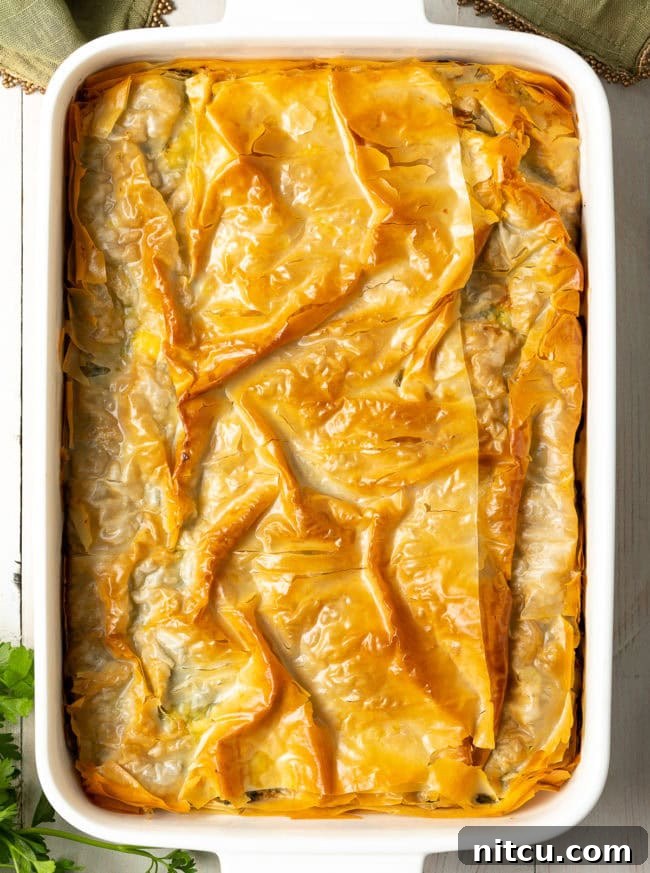 Savory Spinach Pie 14 A close-up of a perfectly sliced piece of the golden-brown Cheese and Spinach Pie, showcasing its rich, herbaceous filling and beautifully flaky crust.