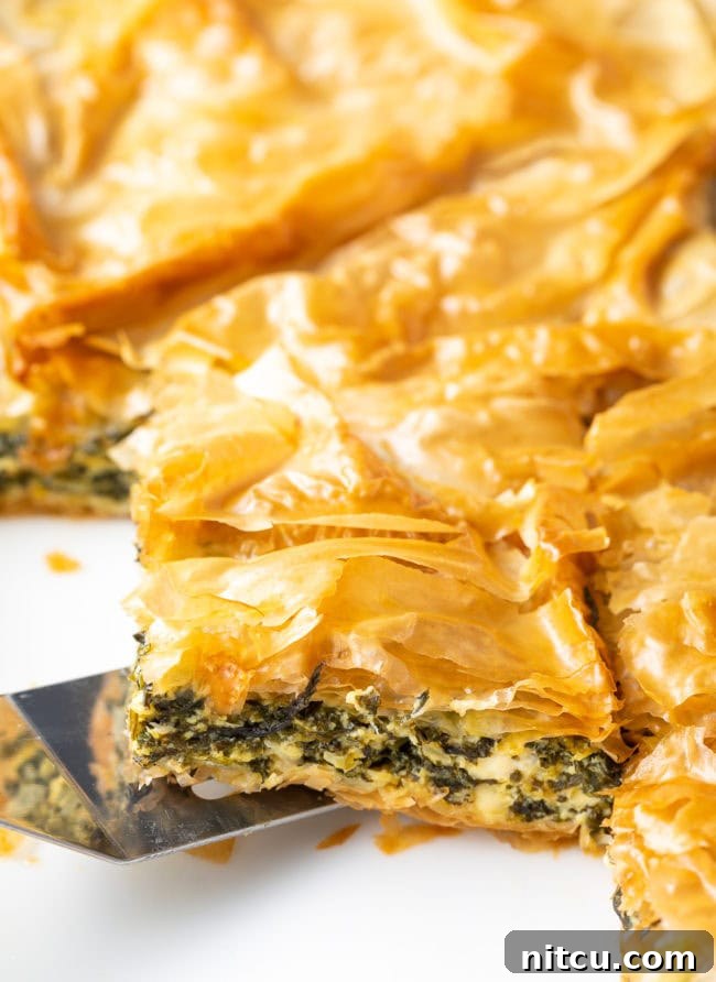 Savory Spinach Pie 15 A vibrant close-up of the crispy, golden-brown crust of the Savory Cheese and Spinach Pie, highlighting its tempting, flaky texture and rich color.