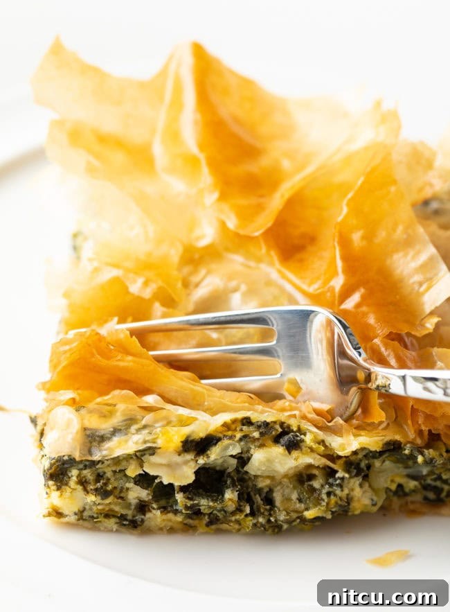 Savory Spinach Pie 16 Front view of a beautifully baked Savory Cheese and Spinach Pie, showcasing its crispy, golden layers and inviting presentation, perfect for any occasion.
