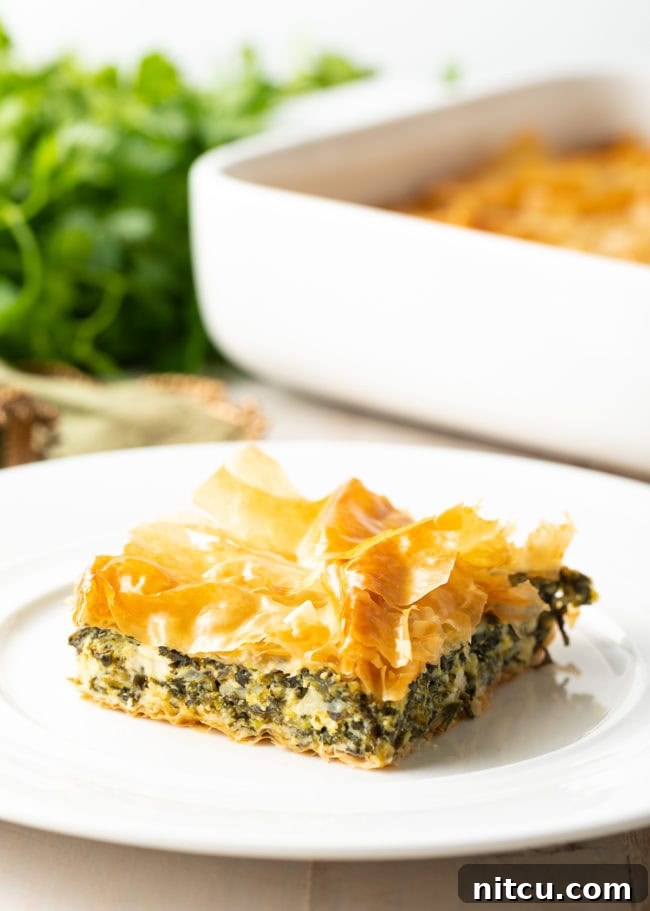 Savory Spinach Pie 3 A single serving of the Savory Cheese and Spinach Pie on a white plate, showcasing its golden, crispy phyllo layers and herbaceous filling.