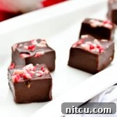 Close-up of peppermint fudge squares